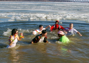 Polar_Bear_Plunge_in_the_water