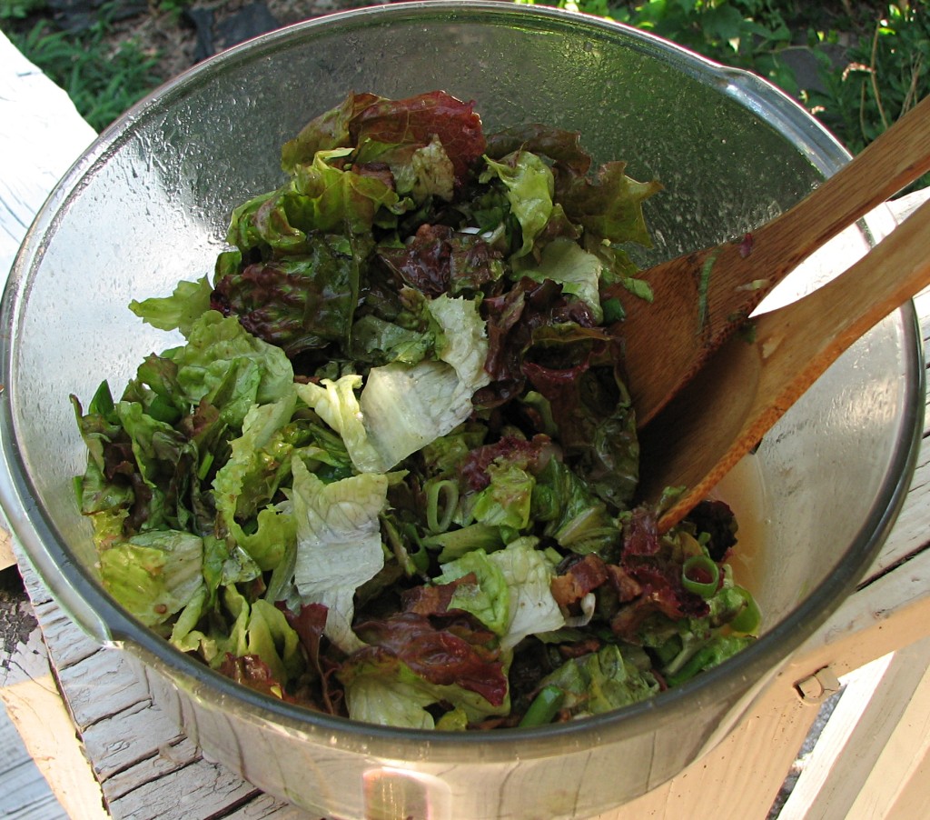 Wilted Lettuce Salad