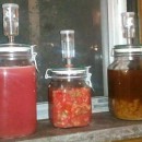 Fermentation Friday August 17