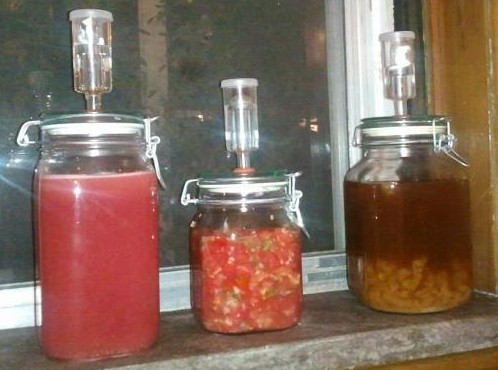 3 ferments in the window