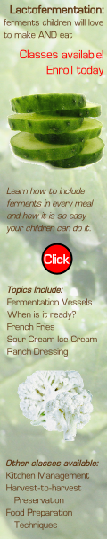 Lacto-Fermentation Class