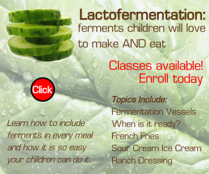 Lacto-Fermentation Class