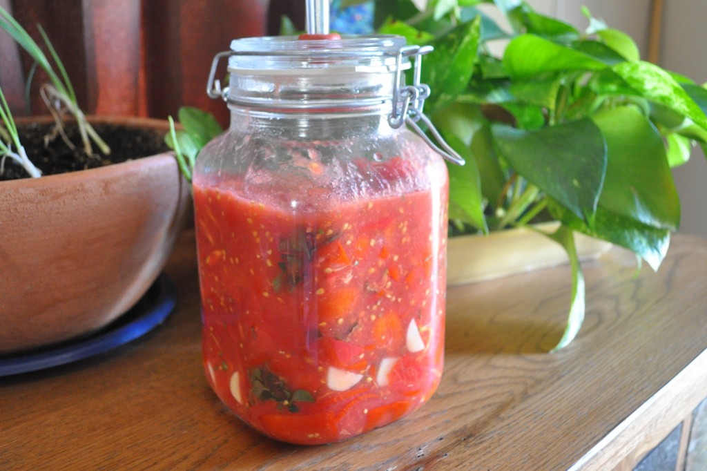 Fermented Spaghetti Sauce