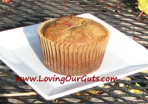 Pumpkin Cranberry Muffin