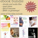 Exciting bundle of Ebooks Perfect for Planning a Family