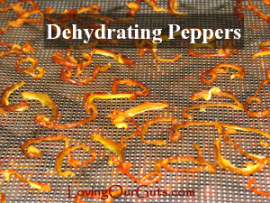 Dehydrated-peppers