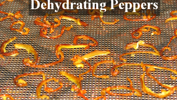 How to Dehydrate Peppers to Preserve the Harvest