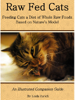 Raw-Fed-Cats-small