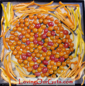 tomato-pepper-dehydrator